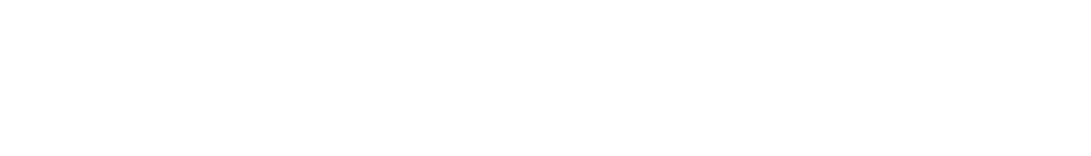 NewCo Logo White